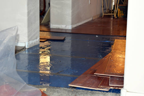 Professional Water Damage Restoration technician working in Eustis, FL